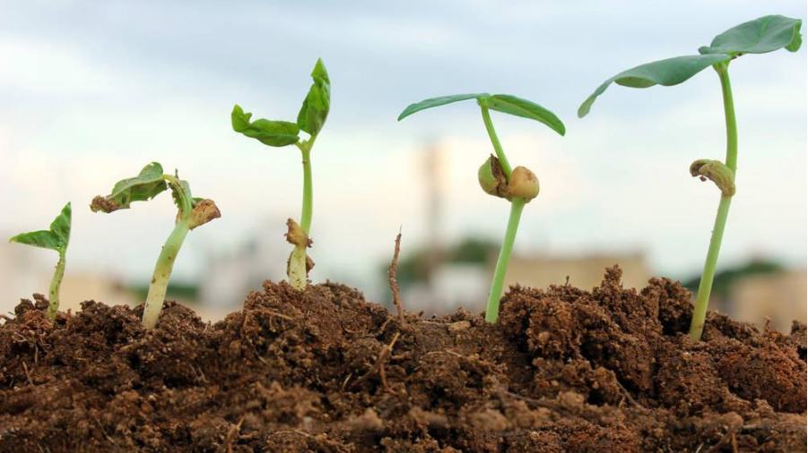 土壤微量元素檢測(cè)儀 土壤微量元素檢測(cè)儀